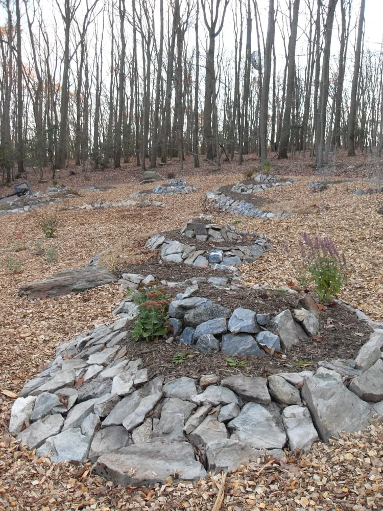 Reliable landscape design for year-round maintenance across Thurmont, MD - Deeply Rooted Design