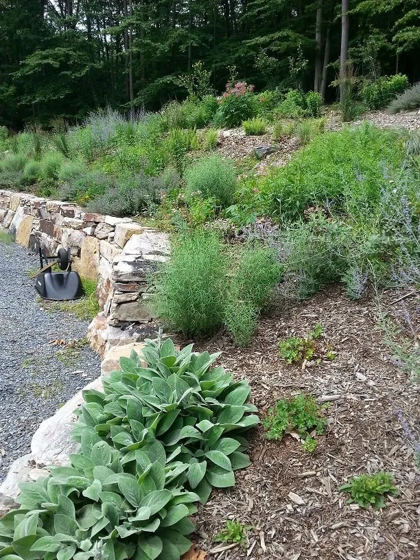 Top-rated landscape design for beautiful yards in Thurmont, MD by Deeply Rooted Design