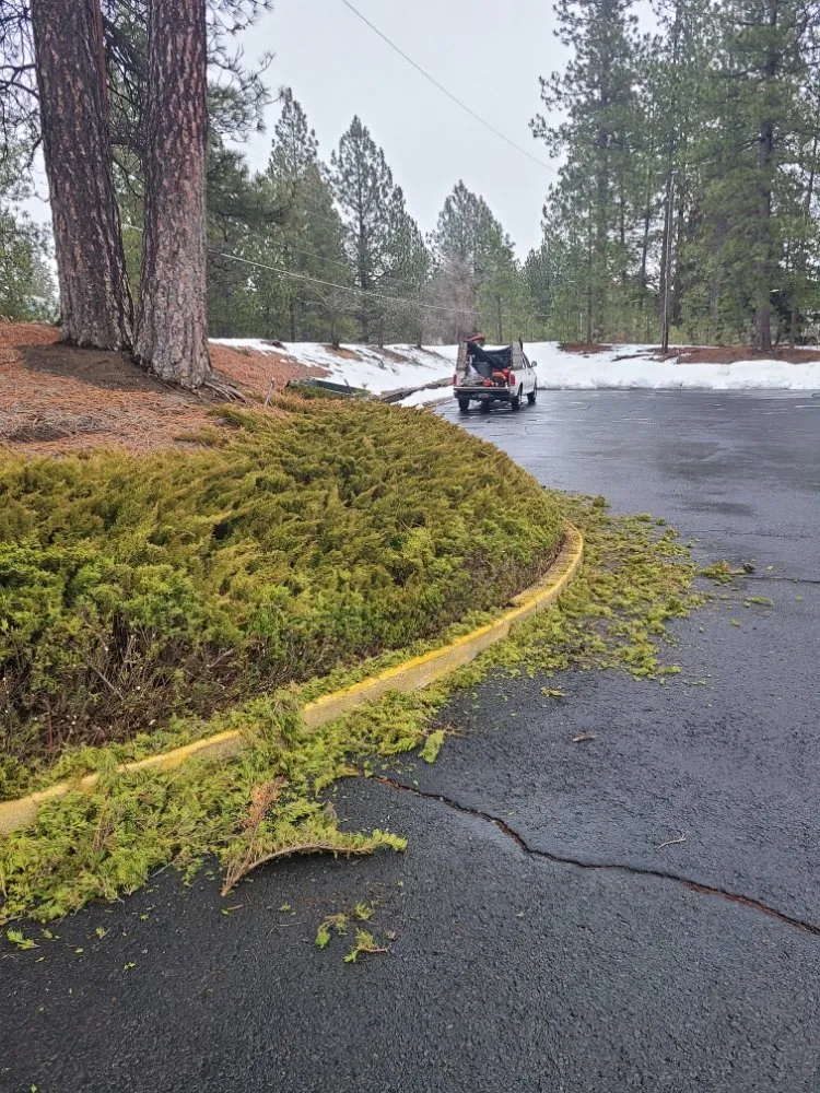 Top-rated garden landscaping in Coeur d'Alene, ID - Deeply Rooted Landscapes