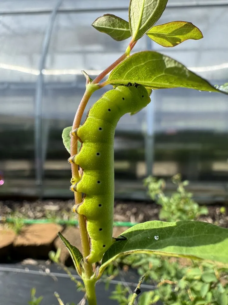 Trusted outdoor landscaping in Tipp City, OH by Deeply Rooted Landscapes