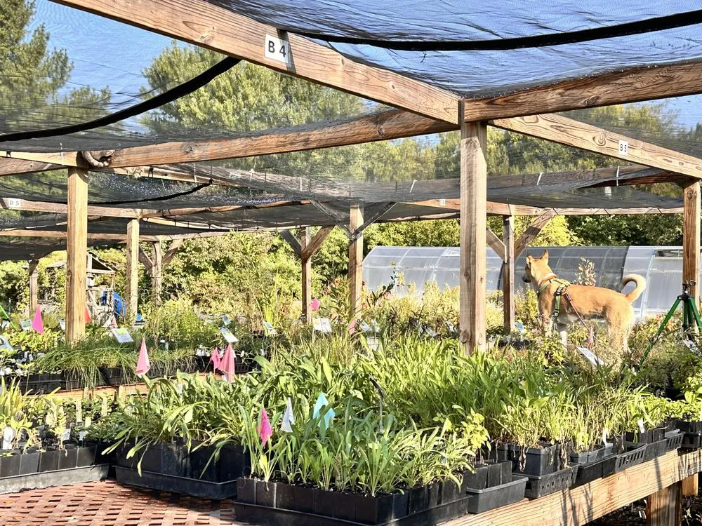 Top-rated residential landscaping in Tipp City, OH - Deeply Rooted Landscapes