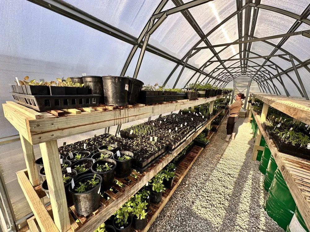 Reliable yard maintenance for residential properties across Tipp City, OH - Deeply Rooted Landscapes