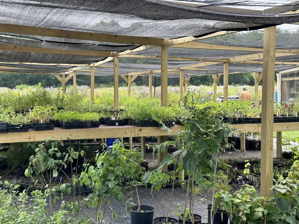 Trusted lawn care service experts serving Tipp City, OH - Deeply Rooted Landscapes