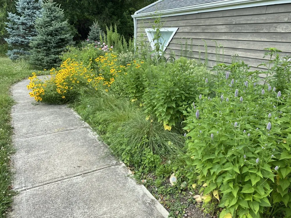 Custom residential landscaping near you in Tipp City, OH by Deeply Rooted Landscapes