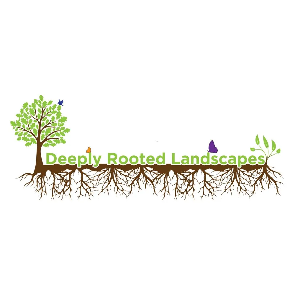 Custom yard maintenance in Tipp City, OH - Deeply Rooted Landscapes