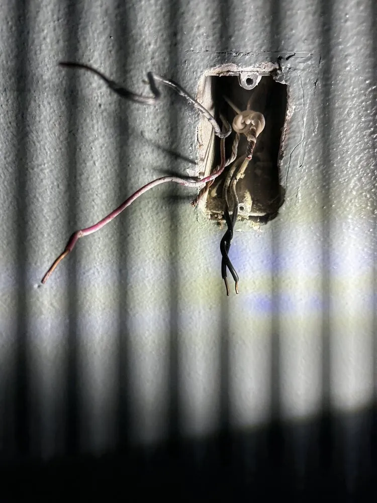 Local landscape installation for outdoor upgrades in Renton, WA by Deeproots