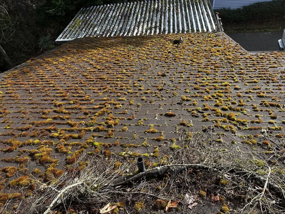 Affordable lawn mowing service in Renton, WA by Deeproots