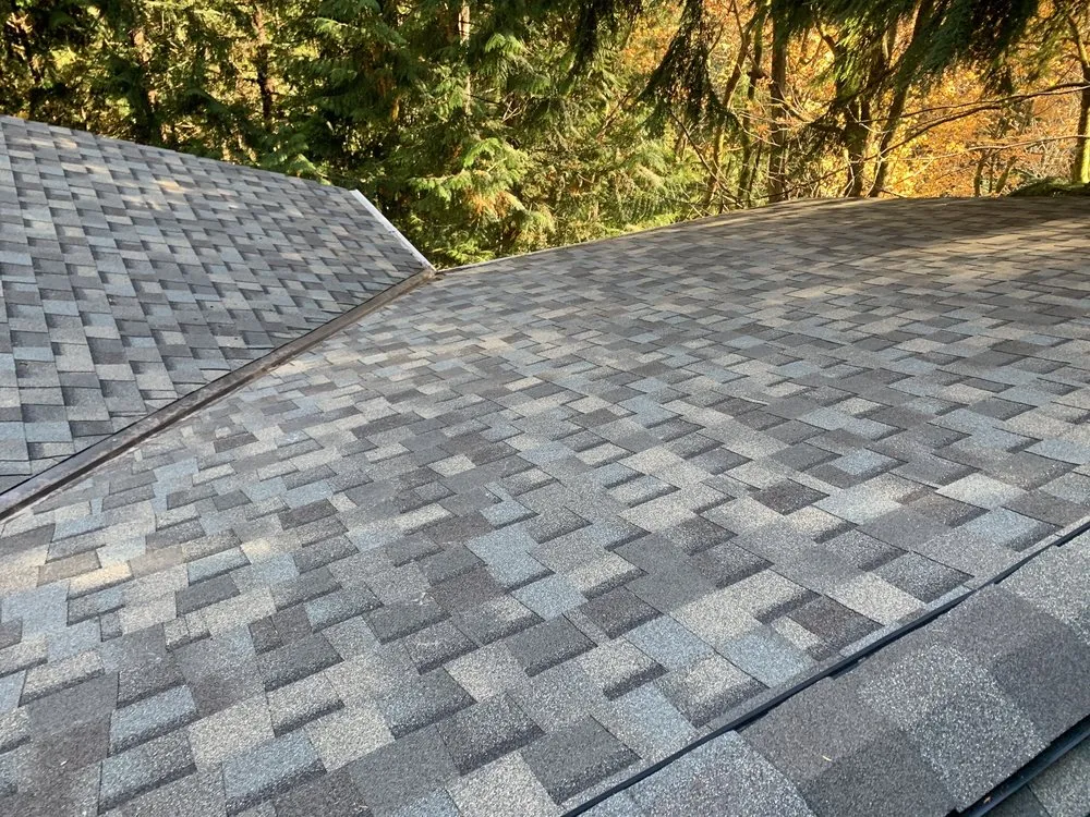 Reliable landscape design near you across Renton, WA - Deeproots