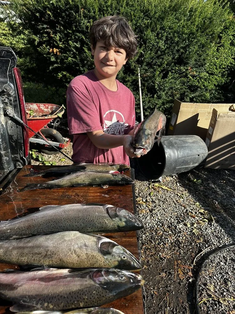 Affordable lawn mowing service in Renton, WA - Deeproots