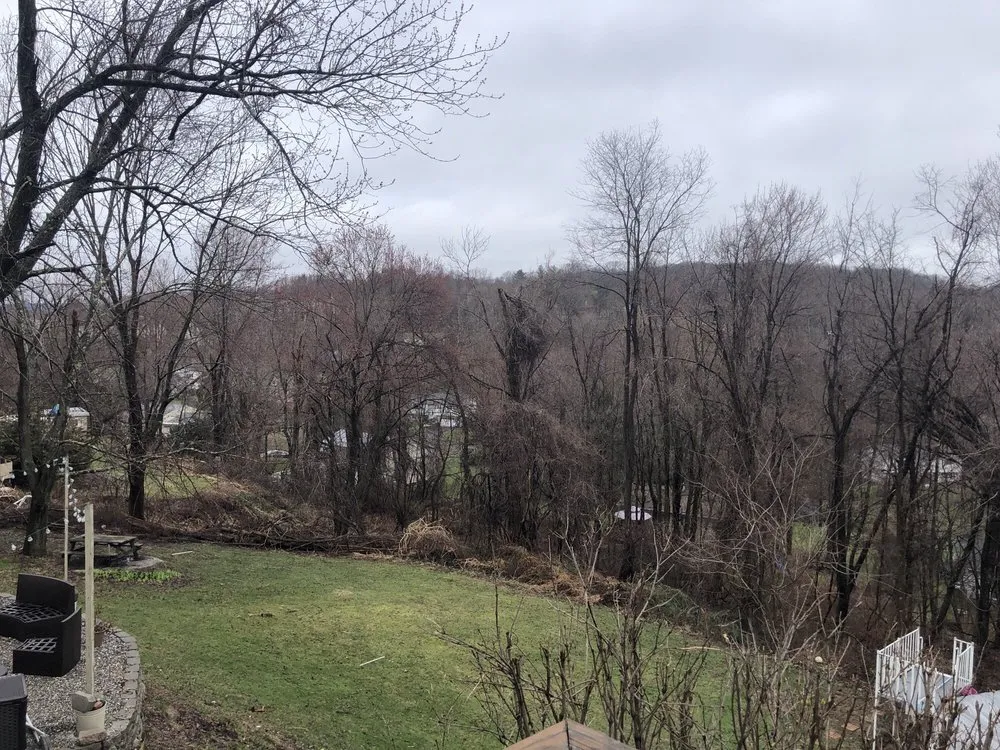 Professional residential landscaping for beautiful yards across Brookfield, CT - Deer & Tick Guard