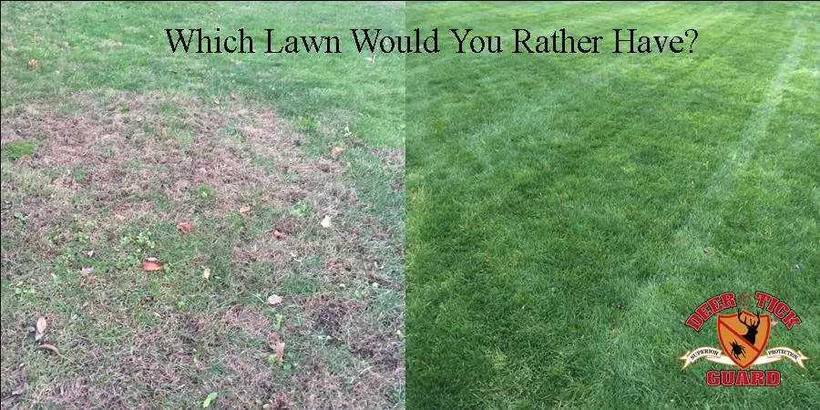 Top-rated residential landscaping in Brookfield, CT by Deer & Tick Guard