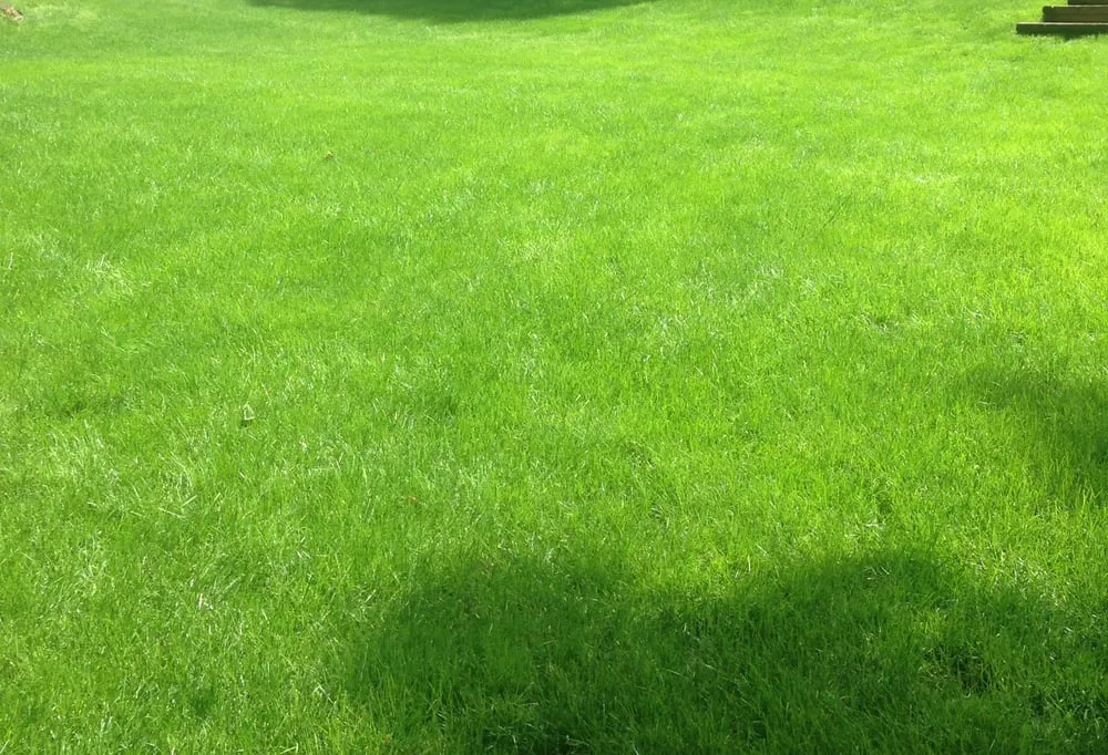 Trusted residential landscaping in Brookfield, CT by Deer & Tick Guard