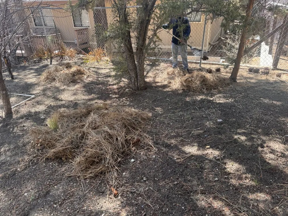 Custom lawn care service for year-round maintenance across Big Bear City, CA - Deer AG