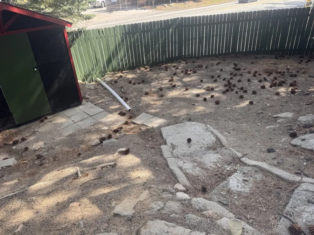 Custom landscape installation near you in Big Bear City, CA by Deer AG