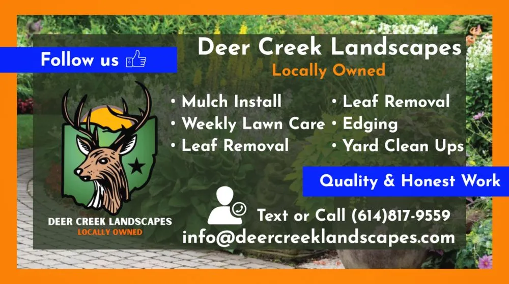 Affordable yard cleanup service for outdoor upgrades across Lincoln Village, OH - Deer Creek Landscapes
