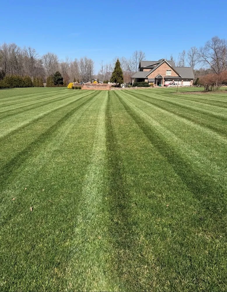 Top-rated yard cleanup service for residential properties across Lincoln Village, OH - Deer Creek Landscapes