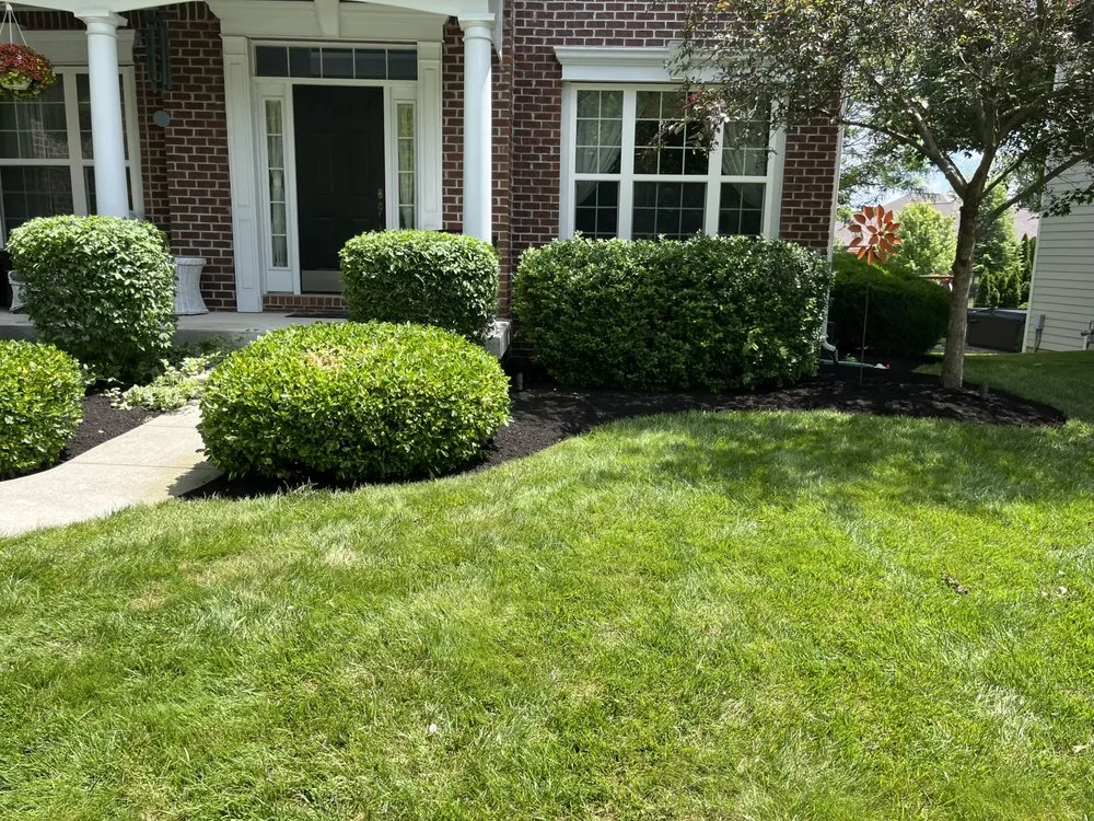 Professional landscape design experts serving Noblesville, IN - Deer Landscaping