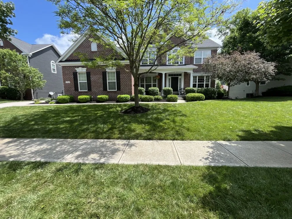 Expert yard cleanup service in Noblesville, IN - Deer Landscaping