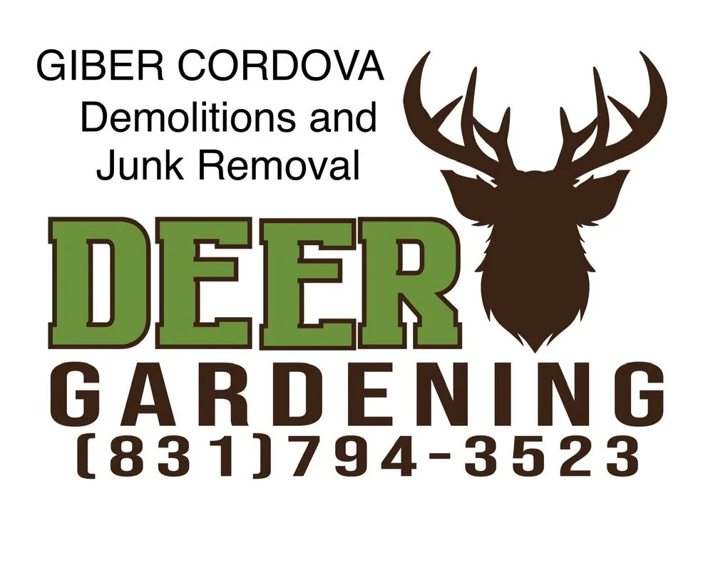 Trusted lawn mowing service in Salinas, CA by Deer Landscaping