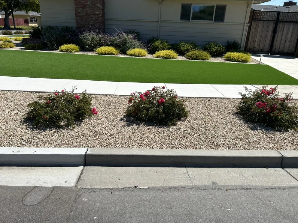Reliable yard cleanup service for homes in Salinas, CA by Deer Landscaping