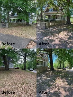 Deer Lawn Care Logo