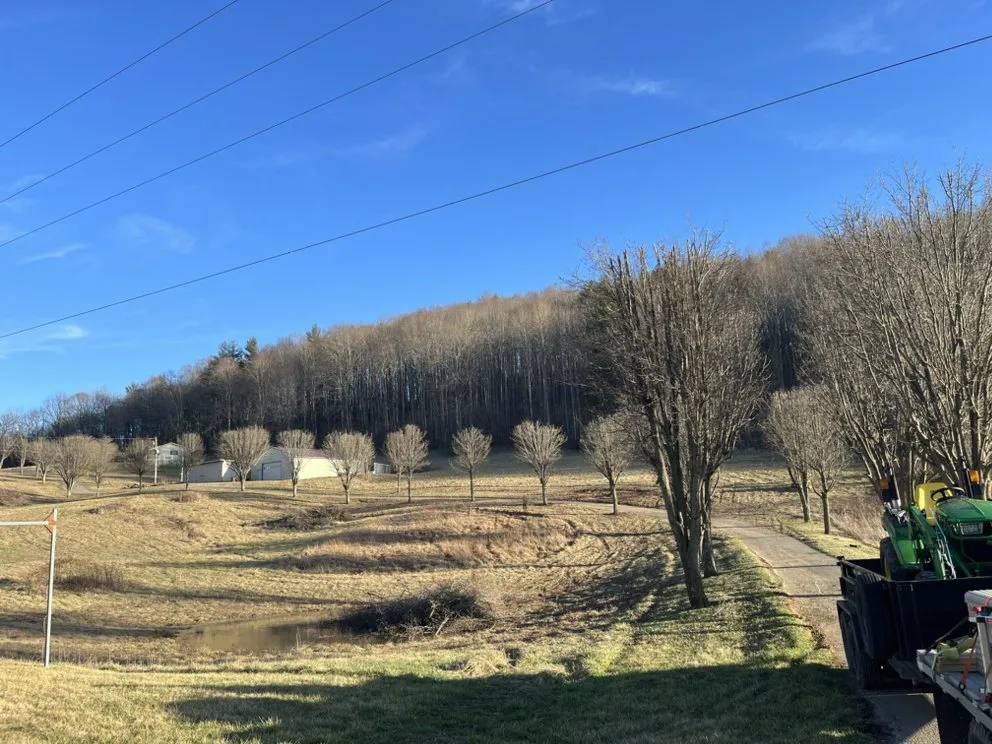 Local landscaping services in Rocky Gap, VA - Deer Run Property Services