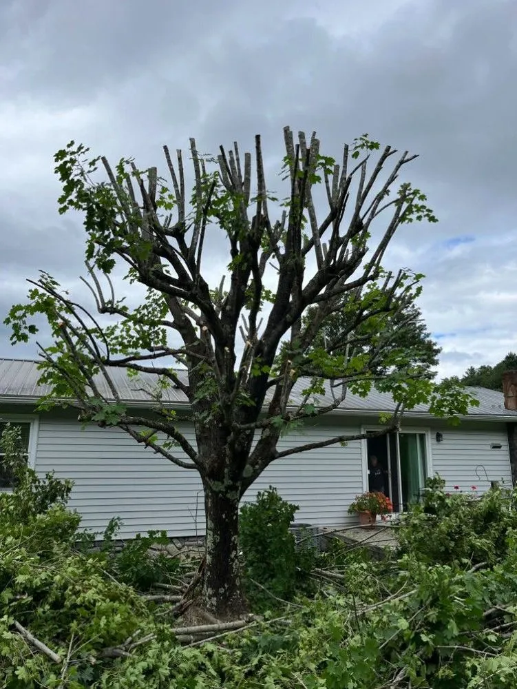 Affordable landscape installation in Rocky Gap, VA by Deer Run Property Services