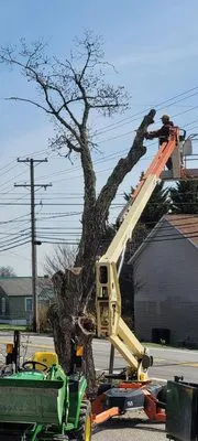 Deer Run Property Services