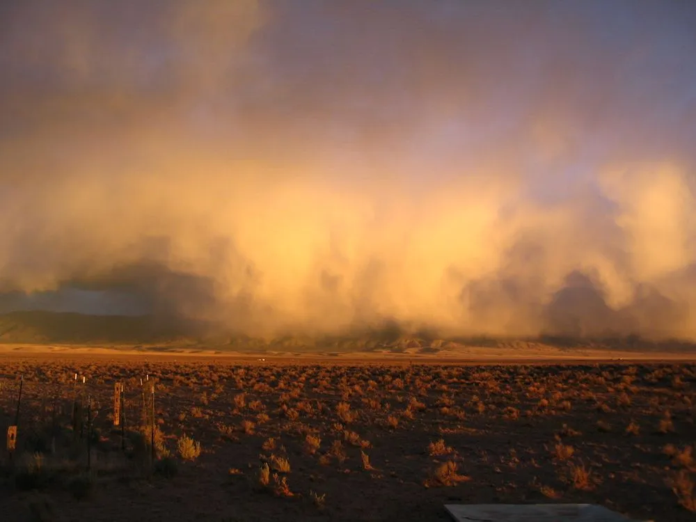 Reliable landscape installation in Albuquerque, NM by DeerBrooke