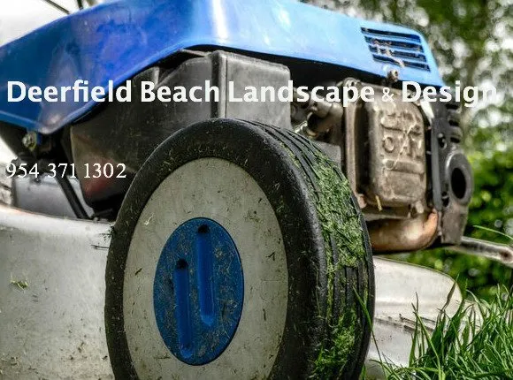 Local garden landscaping for outdoor upgrades across Deerfield Beach, FL - Deerfield Beach Landscape and Design