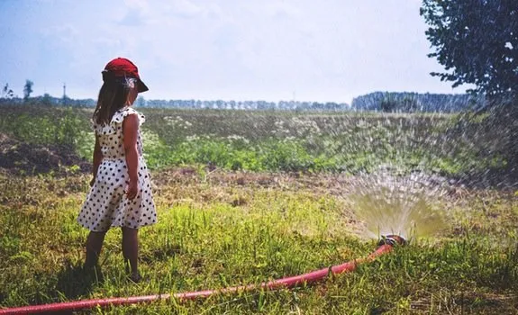 Professional landscaping services for beautiful yards across Deerfield Beach, FL - Deerfield Beach Landscape and Design