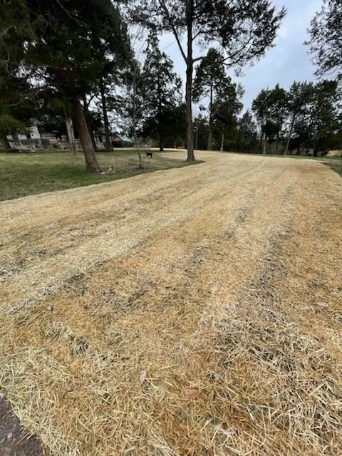 Trusted lawn mowing service for year-round maintenance in Woodbury, TN by Deerview Land Specialists