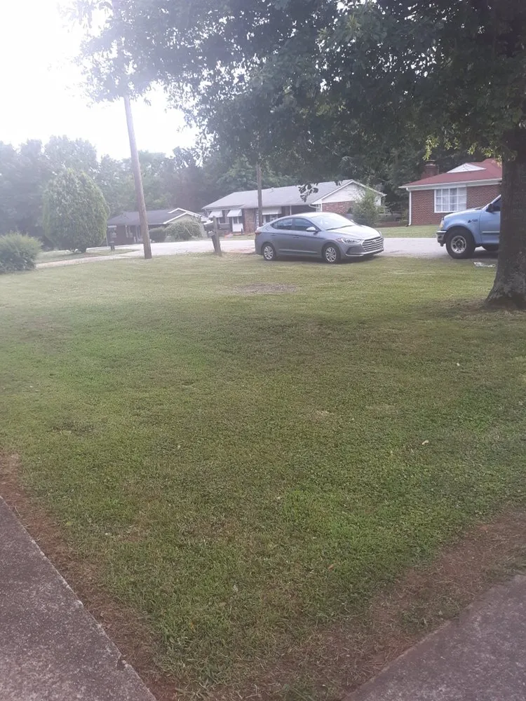 Professional yard maintenance in Greer, SC - Dee’s Hauling & Lawn Services