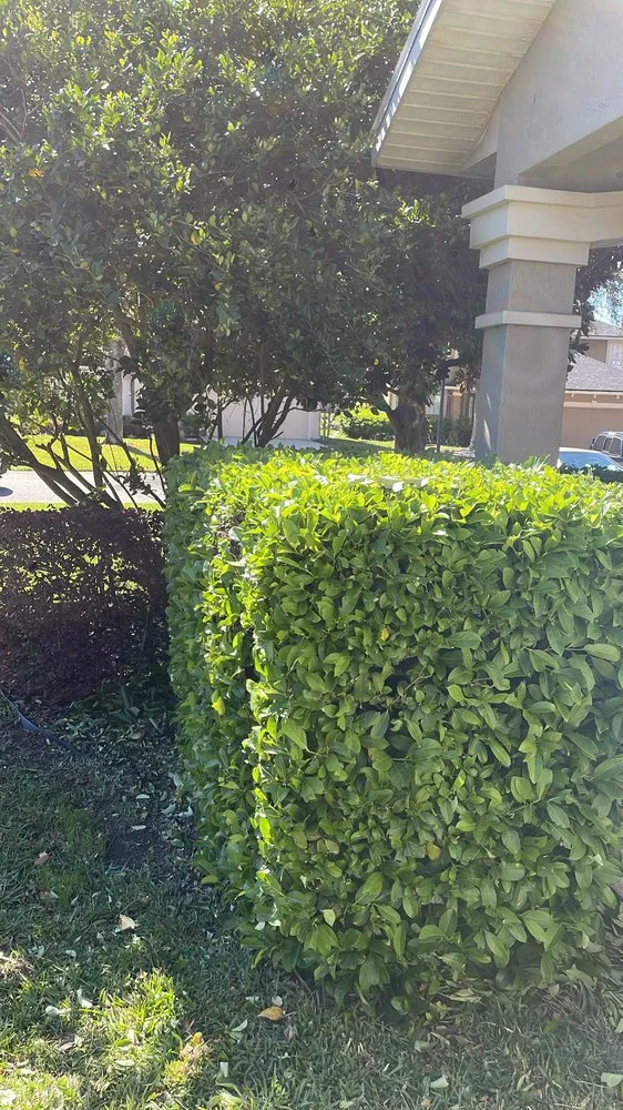 Custom outdoor landscaping experts serving Gainesville, FL - Dee’s landscaping