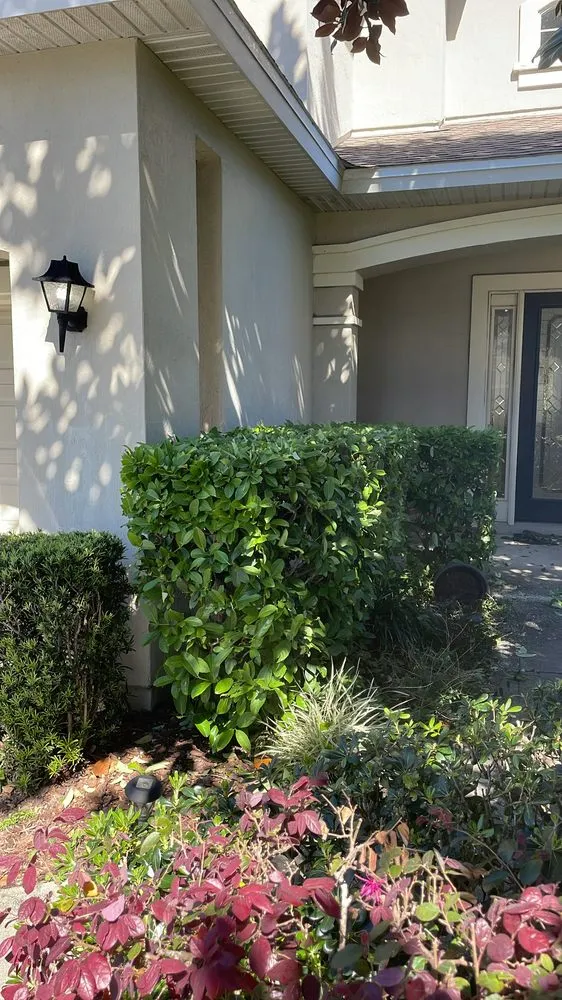 Affordable garden landscaping experts serving Gainesville, FL - Dee’s landscaping