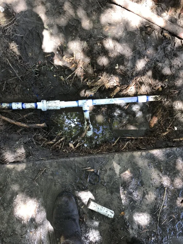 Local garden landscaping for beautiful yards across Gulfport, MS - Dee's Lawn & Landscaping