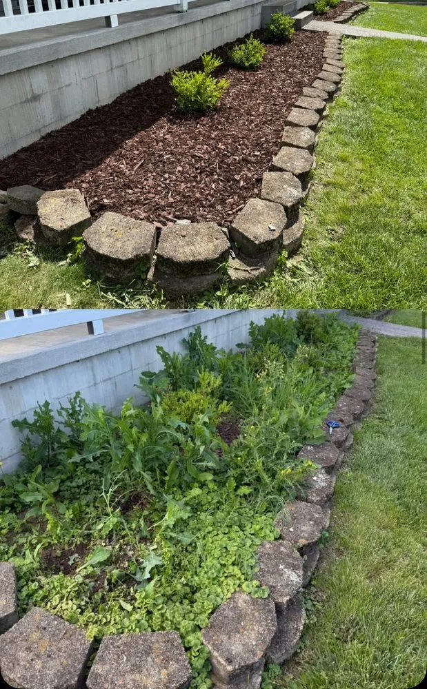 Reliable residential landscaping for year-round maintenance in Oakland, CA by Dee’s Lawn Care & Power Wash Services