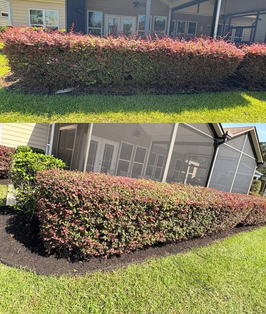 Top-rated residential landscaping near you across Oakland, CA - Dee’s Lawn Care & Power Wash Services