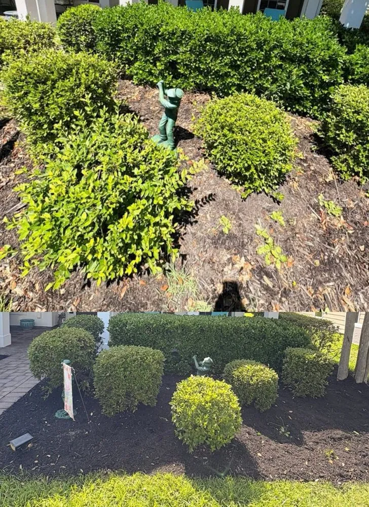 Trusted yard maintenance experts serving Oakland, CA - Dee’s Lawn Care & Power Wash Services