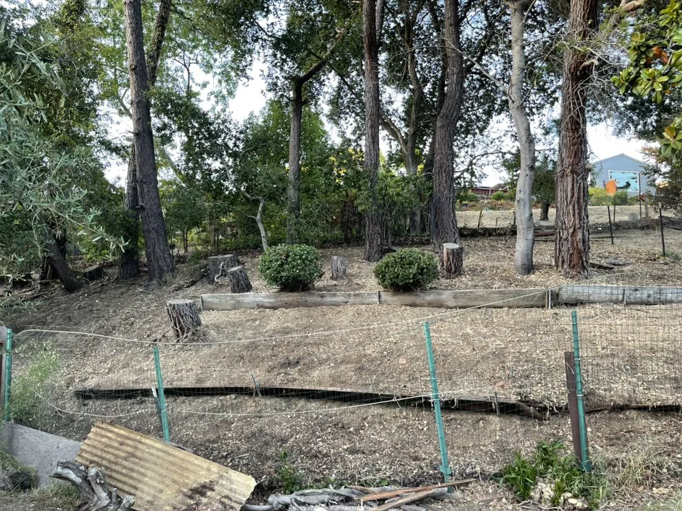 Professional garden landscaping for beautiful yards across Oakland, CA - Dee’s Lawn Care & Power Wash Services