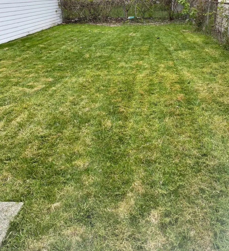 Custom residential landscaping for homes across Oakland, CA - Dee’s Lawn Care & Power Wash Services