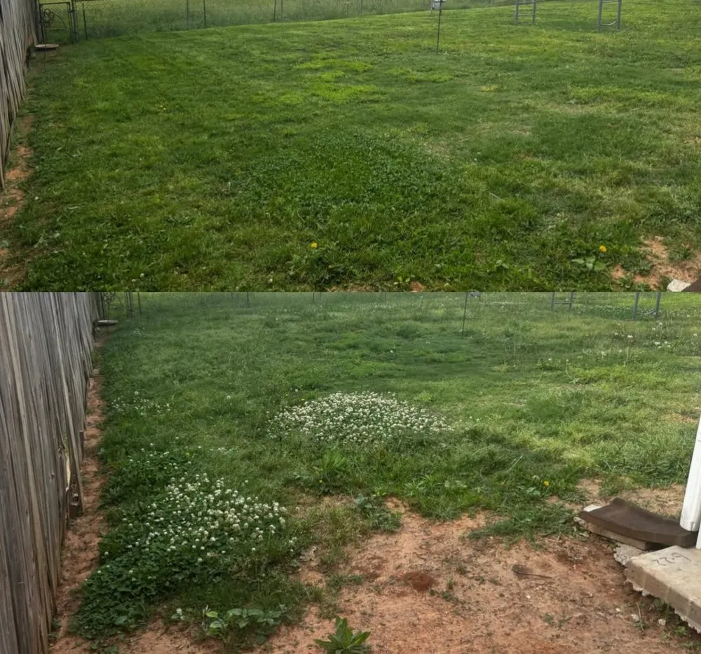 Local landscape design for outdoor upgrades in Oakland, CA by Dee’s Lawn Care & Power Wash Services