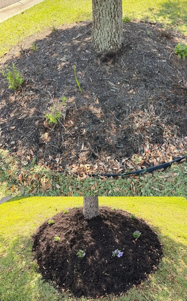 Expert landscape installation in Oakland, CA by Dee’s Lawn Care & Power Wash Services