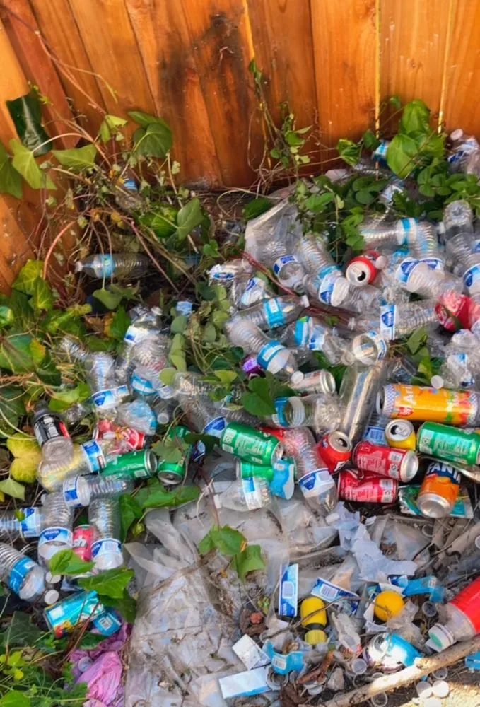 Expert outdoor landscaping in Oakland, CA - Dee’s Lawn Care & Power Wash Services