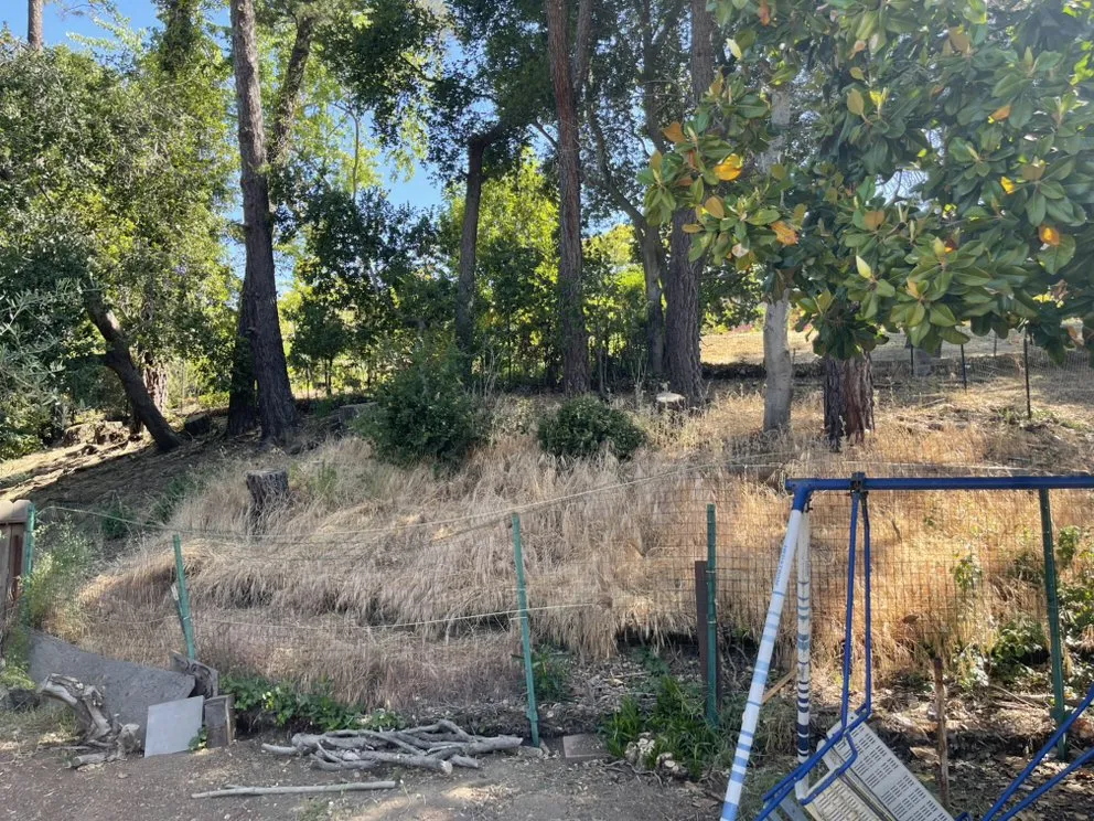 Top-rated outdoor landscaping in Oakland, CA by Dee’s Lawn Care & Power Wash Services