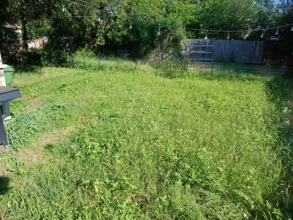 Local lawn care service experts serving Waco, TX - Dee's Lawn Service