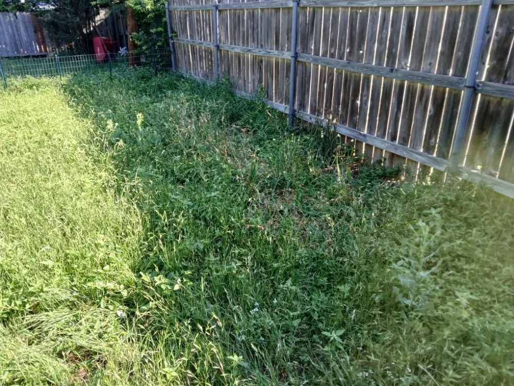 Reliable lawn care service in Waco, TX - Dee's Lawn Service