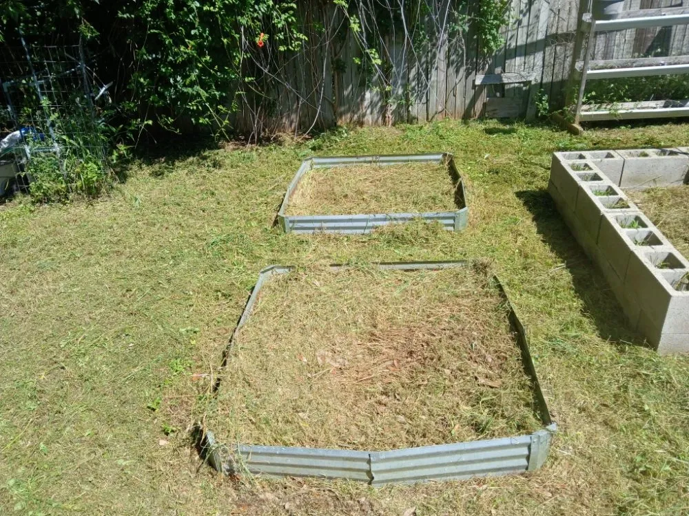 Affordable yard maintenance in Waco, TX by Dee's Lawn Service