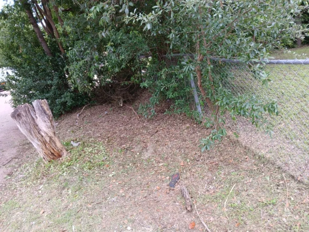 Professional lawn mowing service for beautiful yards in Waco, TX by Dee's Lawn Service