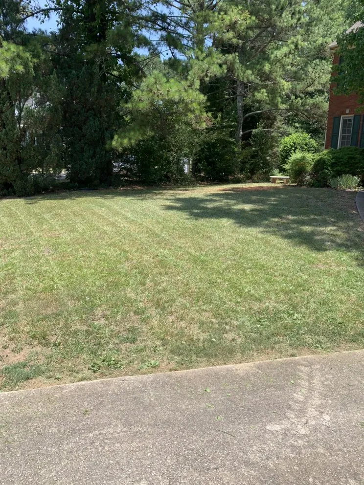 Custom garden landscaping for outdoor upgrades across Jonesboro, GA - Dee’s Quality Landscaping